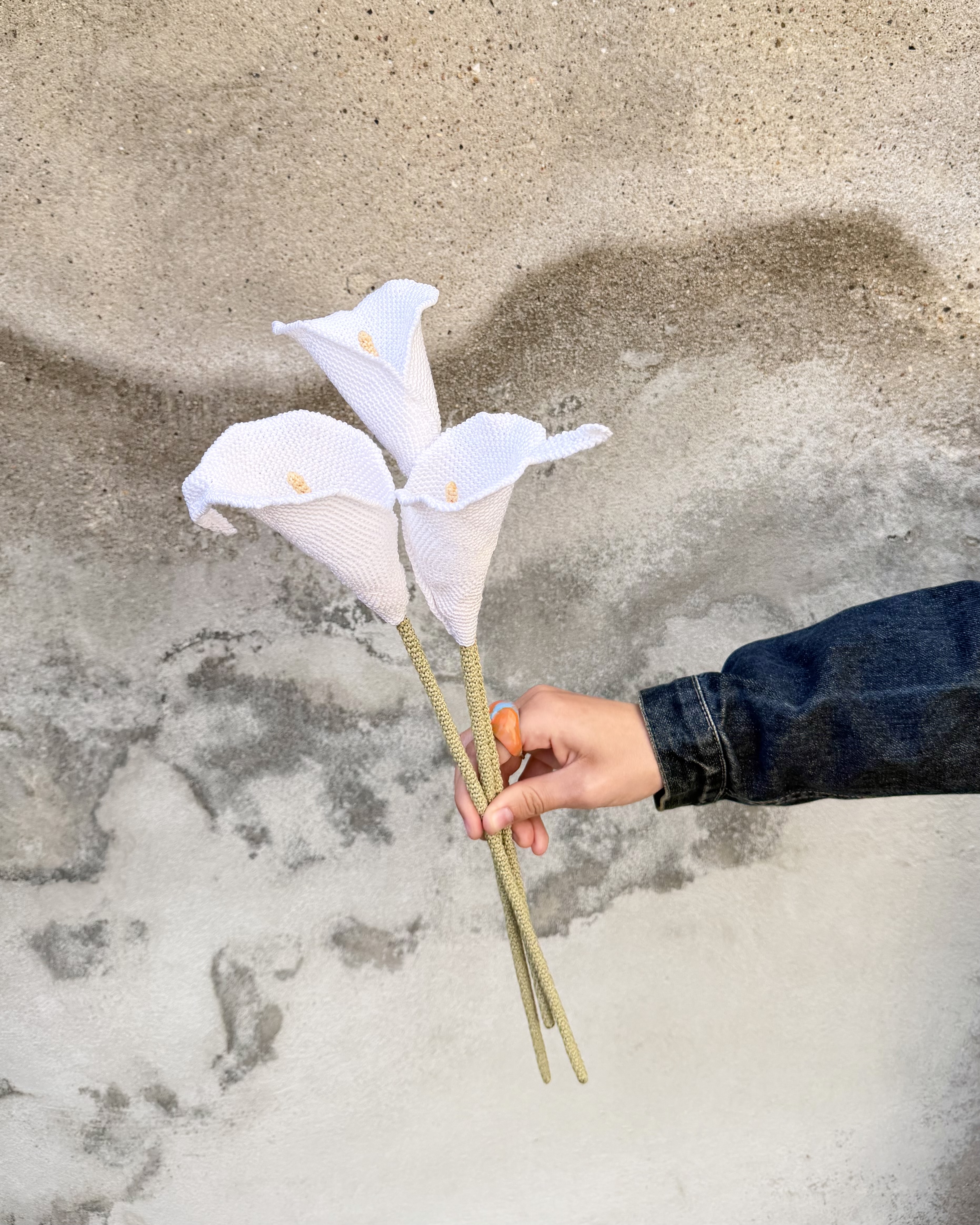 Calla lily
